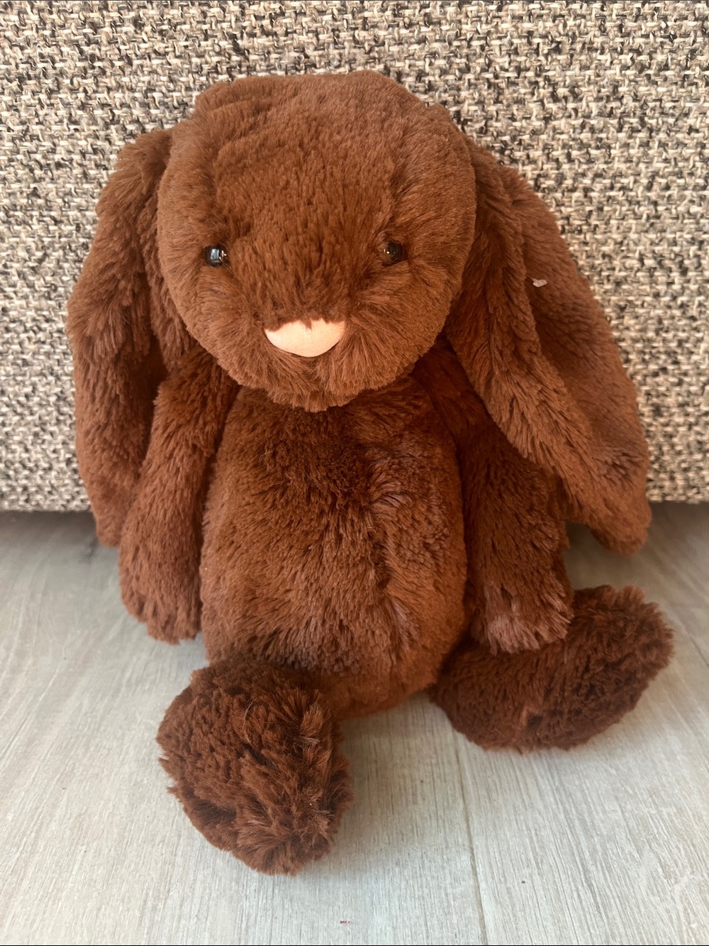 Jellycat Retired Rare Bashful Fudge Bunny